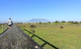 Walk in Rietvlei